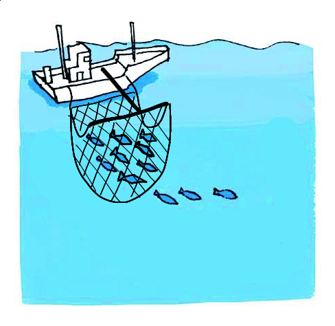 漁法：図解