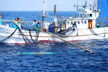 パッションフルーツ農家